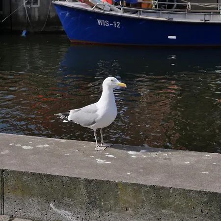 Ostsee-landhausblick Zw Rostock Und Wismar Neuburg (Mecklenburg-Vorpommern)