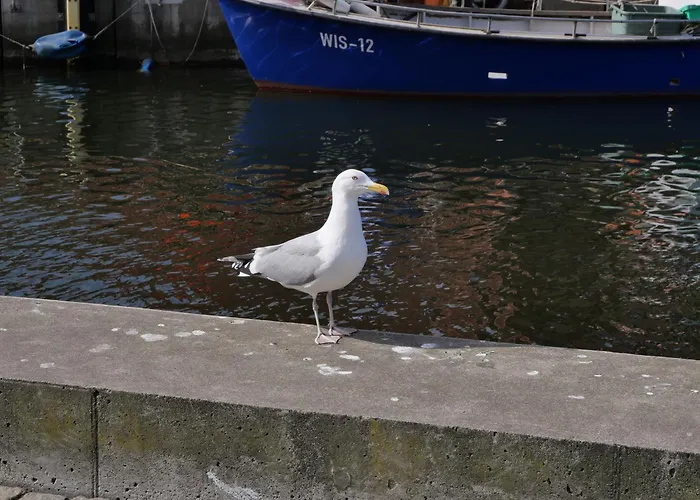 Ostsee-weitblick Zw Rostock Und Wismar Neuburg